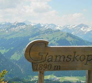Gamskopf 1890 m
