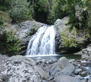 In den Blue Mountains