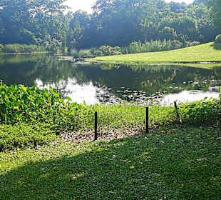 Botanischer Garten