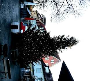 Der Weihnachtsbaum