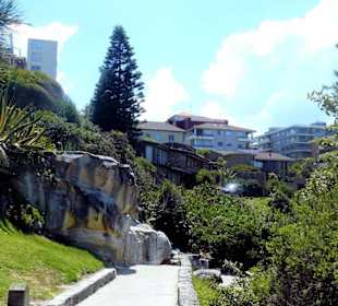 Bondi to Coogee Walk