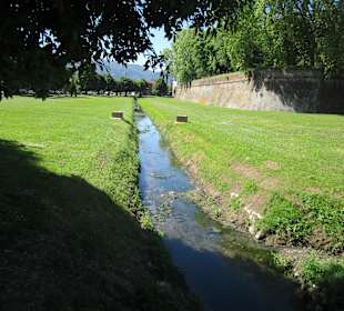 Stadtmauer Lucca