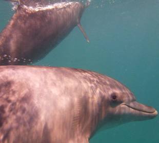 Einfach wunderschön...