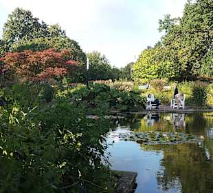 Blick auf das Wasser und die Pflanzen