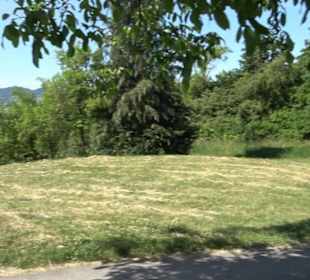 Früchtetrauf - Wurmlinger Kapellenwegle