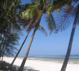 Diani Beach Küste
