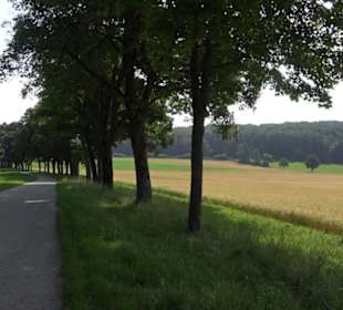 Waldlehrpfad St. Johann