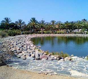 Parque del Sur in Maspalomas