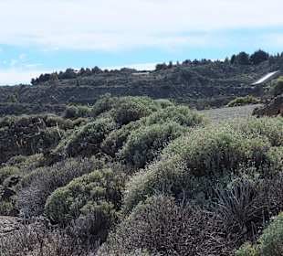 Beim Besucherzentrum