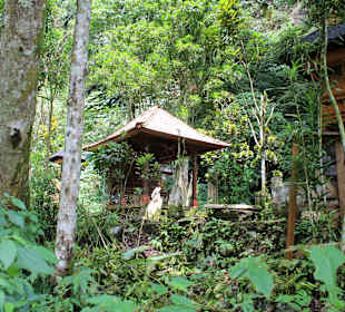 Wasserfall Blahmantung