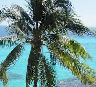 Isla Mujeres