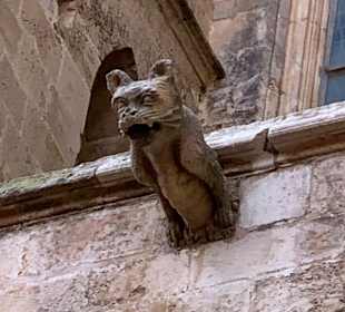 Beachtenswerte Wasserspeier