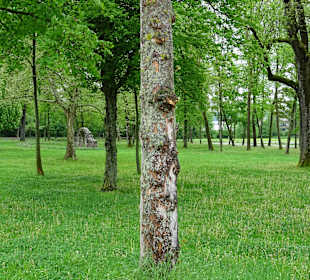 Schlosspark Gaildorf