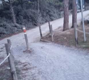 Links zu Feldern rechts Leuchtturm