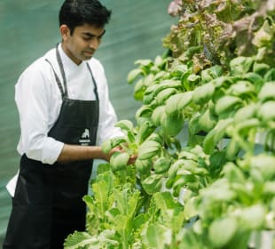 Gartenanlage