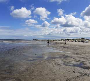 Grüner Brink in Fehmarn