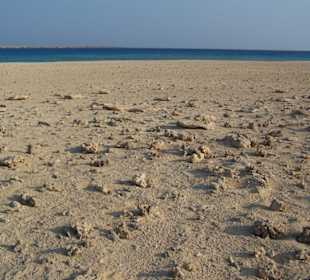 Strandansicht Giftun