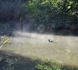 Natur Wanderungen auf der Ostalb
