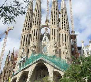 Собор святого семейства