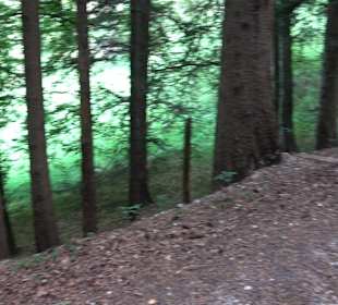 Waldlehrpfad in Tieringen