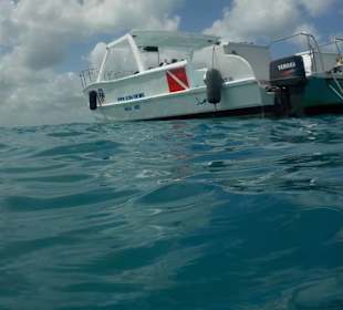 Mit dem Boot zum Tauchplatz