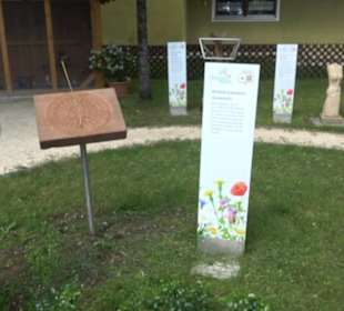 Historische Stadtmauer