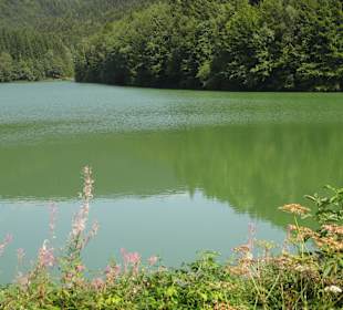 Erle - Talsparre