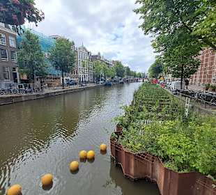 Grachten Amsterdam