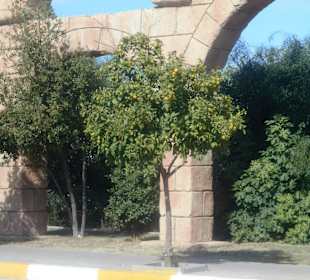 Aquädukt Nachbildung Belek