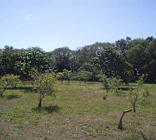 Unterwegs auf den Wanderwegen