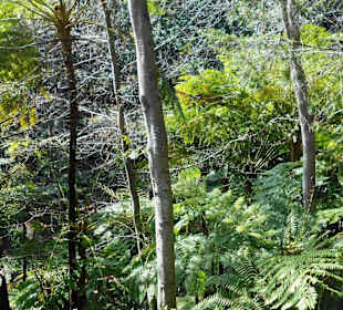 Monte Palace Tropical Garden