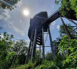 Baumwipfelpfad Saarschleife 