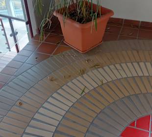 Auf den Fluren lauter verreckte Pflanzen 02