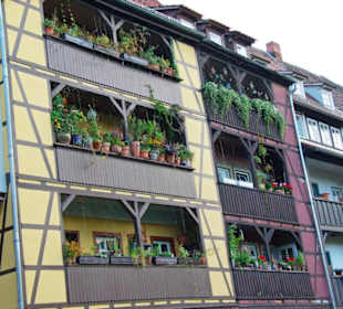 Stadt Erfurt im Bild Sept.2010