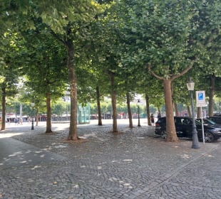 Vrijthof in Maastricht 