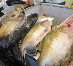 In den Markthallen von Manaus