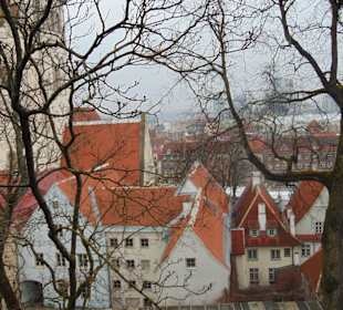 Крыши домов