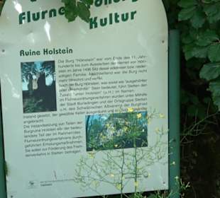 Burg Hölnstein Stetten u. Holstein
