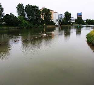 Der Kanal