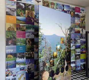 Artenvielfalt im Naturpark Bayerischer Wald