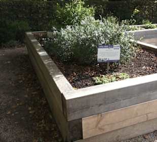 Kneippscher Kräutergarten