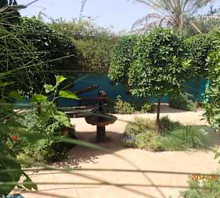 Anima-Garden
