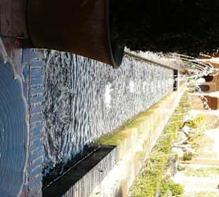 Dettaglio del giardino