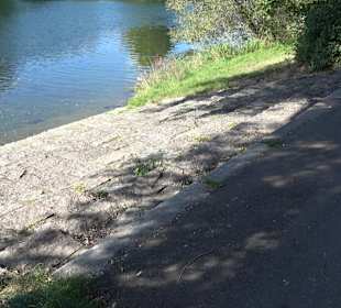 Schaukelweg an der Donau