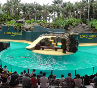 Loro Parque