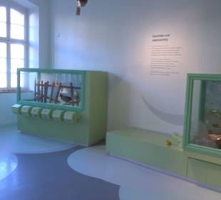 Museum Natur und Mensch