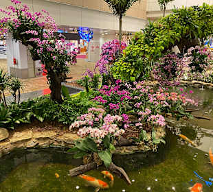 Flughafen Singapur Changi (SIN)