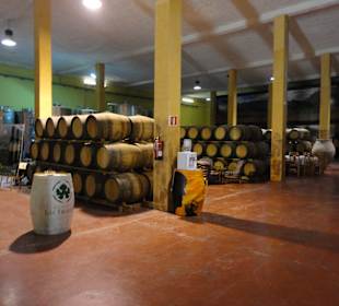 Bodega Las Tirajanas