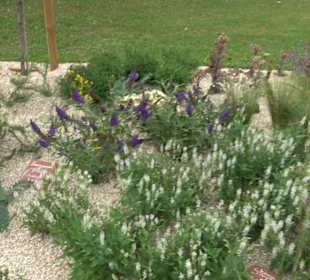 Blühendes Neresheim