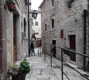 Kotor